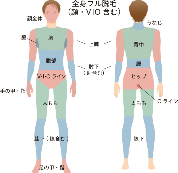 全身フル脱毛