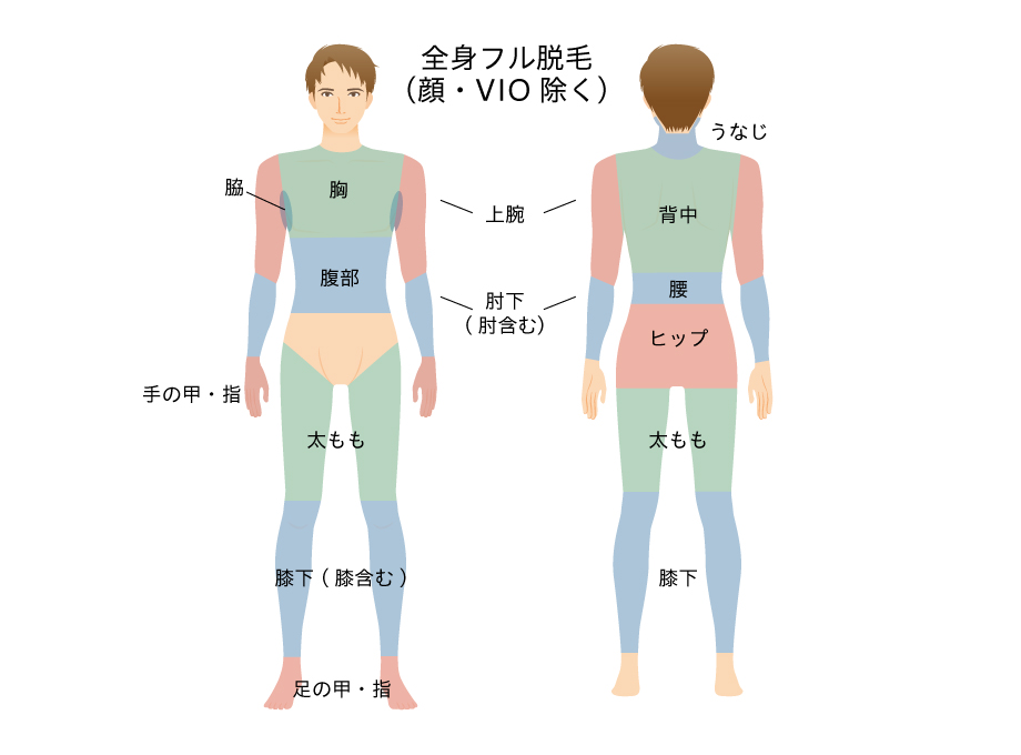 全身フル脱毛
