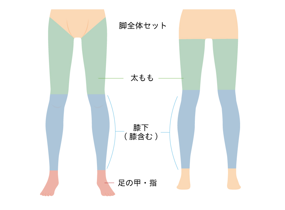脚全体セット